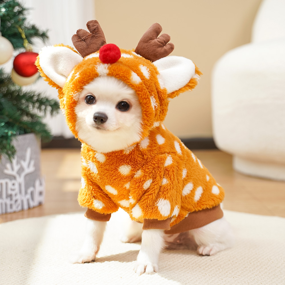 Niedliche Weihnachts-Rentier-H – Winter Clothing Must Haves Bewertung und Preis
